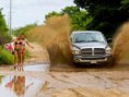 /album/galeria-de-fotos-da-semana/banho-lama-jpg/